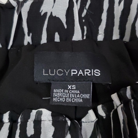 Lucy Paris Pleated Midi Skirt Size XS - Picture 6 of 7